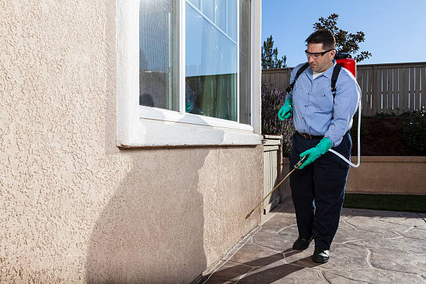 Indoor Pest Control